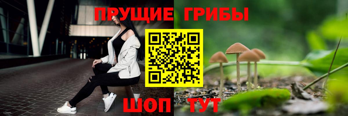 Галлюциногенные грибы мухоморы Горно-Алтайск